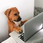 Aunt B is not taking new clients at this time
