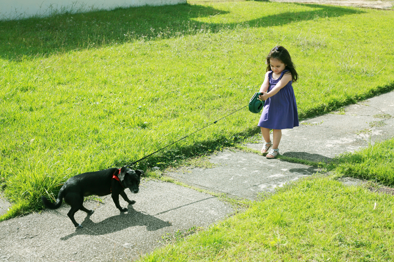Little girl having trouble with her dog in the park