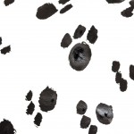 Aunt B Pet Sitter – Tucson Pet Sitting Services